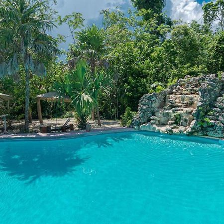 Jolie Jungle Eco Hotel (Adults Only) Leona Vicario Exterior photo