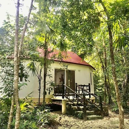 Jolie Jungle Eco Hotel (Adults Only) Leona Vicario Exterior photo